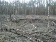 Собичеве з panoramio.com