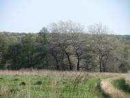 Морозівка з panoramio.com