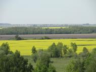 Веселе з panoramio.com