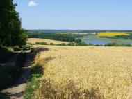 Майданецьке з panoramio.com - Maydanetske