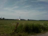 Раневичі з panoramio.com