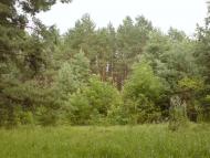 Гороховатка з panoramio.com