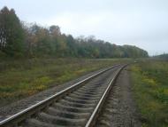 Буйволівці з panoramio.com