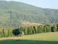 Турички з panoramio.com