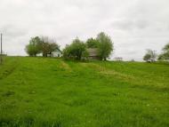 Перевозець з panoramio.com