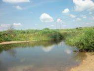 Дерезівка з panoramio.com