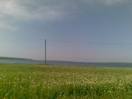 Кордон з panoramio.com