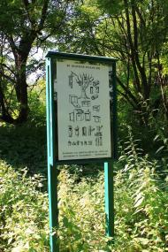 Сорокопень з panoramio.com