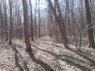 Тернова з panoramio.com