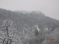 Пасічна з panoramio.com