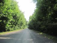 Хвальки з panoramio.com