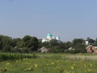 Ромашки з panoramio.com