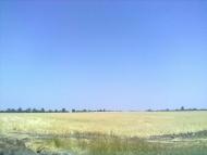 природа села