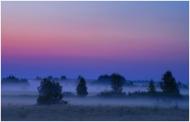 Боровичі з panoramio.com