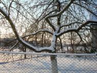 Копіювата з panoramio.com