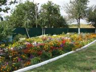 Ребедайлівка з panoramio.com