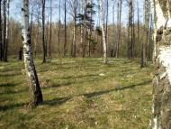 Радецька Болярка з panoramio.com