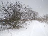 Андріївка з panoramio.com