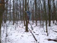 Мартове з panoramio.com