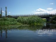 Озерне з panoramio.com