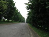 Ракова з panoramio.com