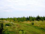 Костюхнівка з panoramio.com