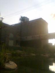 Сорока з panoramio.com