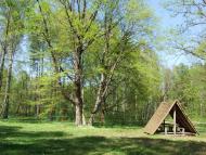 Скулин з panoramio.com