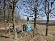 Петрів з panoramio.com