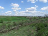 Вільхівка з panoramio.com