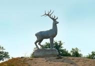 Якимівка з panoramio.com - Акимовка