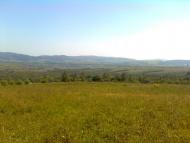 Пшеничники з panoramio.com