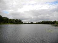 Купчичі з panoramio.com