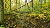 Майданецьке з panoramio.com - Maydanetske