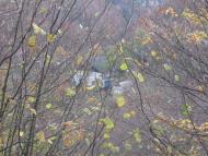 Пасічна з panoramio.com