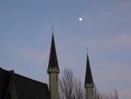 Шевченкове з panoramio.com