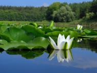 Гороховатка з panoramio.com