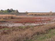 Дебальцеве з panoramio.com