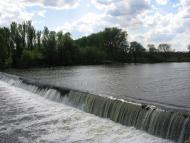 Осички з panoramio.com