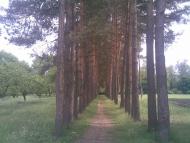 Гурівці з panoramio.com