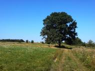 Павлівка з panoramio.com