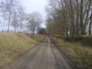 Садове з panoramio.com