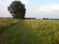 Рівнинне з panoramio.com