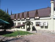 Шевченкове з panoramio.com