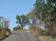 Шахтне з panoramio.com - Шахтное