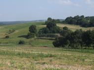 Нараїв з panoramio.com