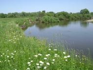 Білий Берег - Останні фото