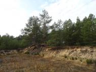 Житнівка з panoramio.com