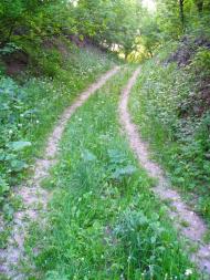 Єлизаветівка з panoramio.com