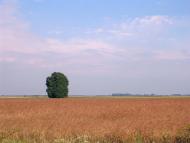 Чудви з panoramio.com